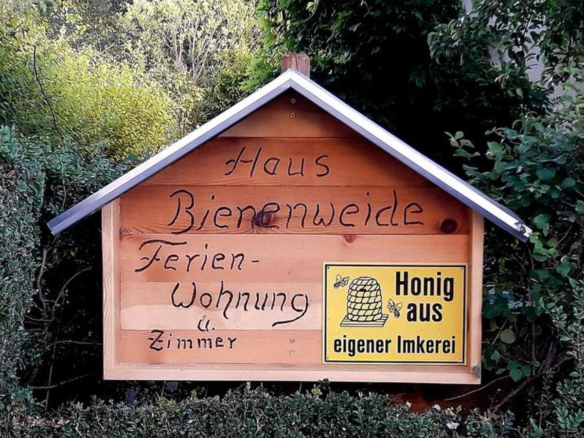 Schömberg Haus Zur Bienenweide 아파트 외부 사진