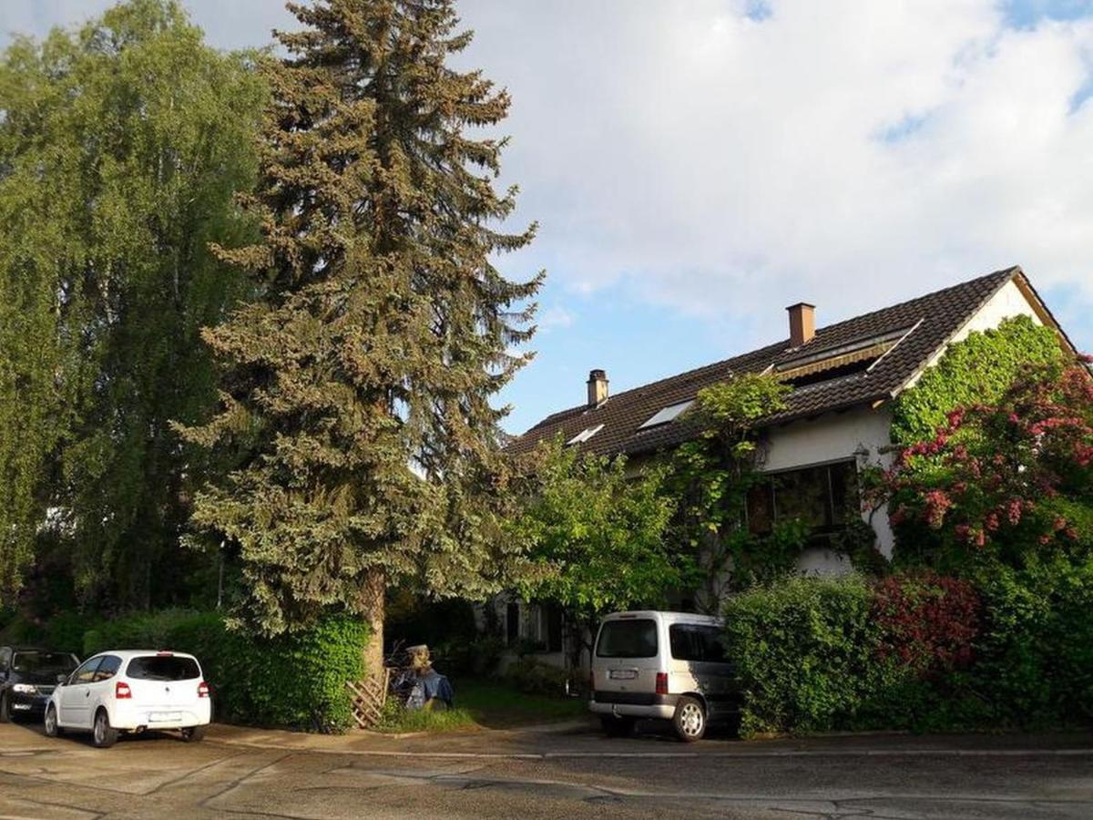 Schömberg Haus Zur Bienenweide 아파트 외부 사진