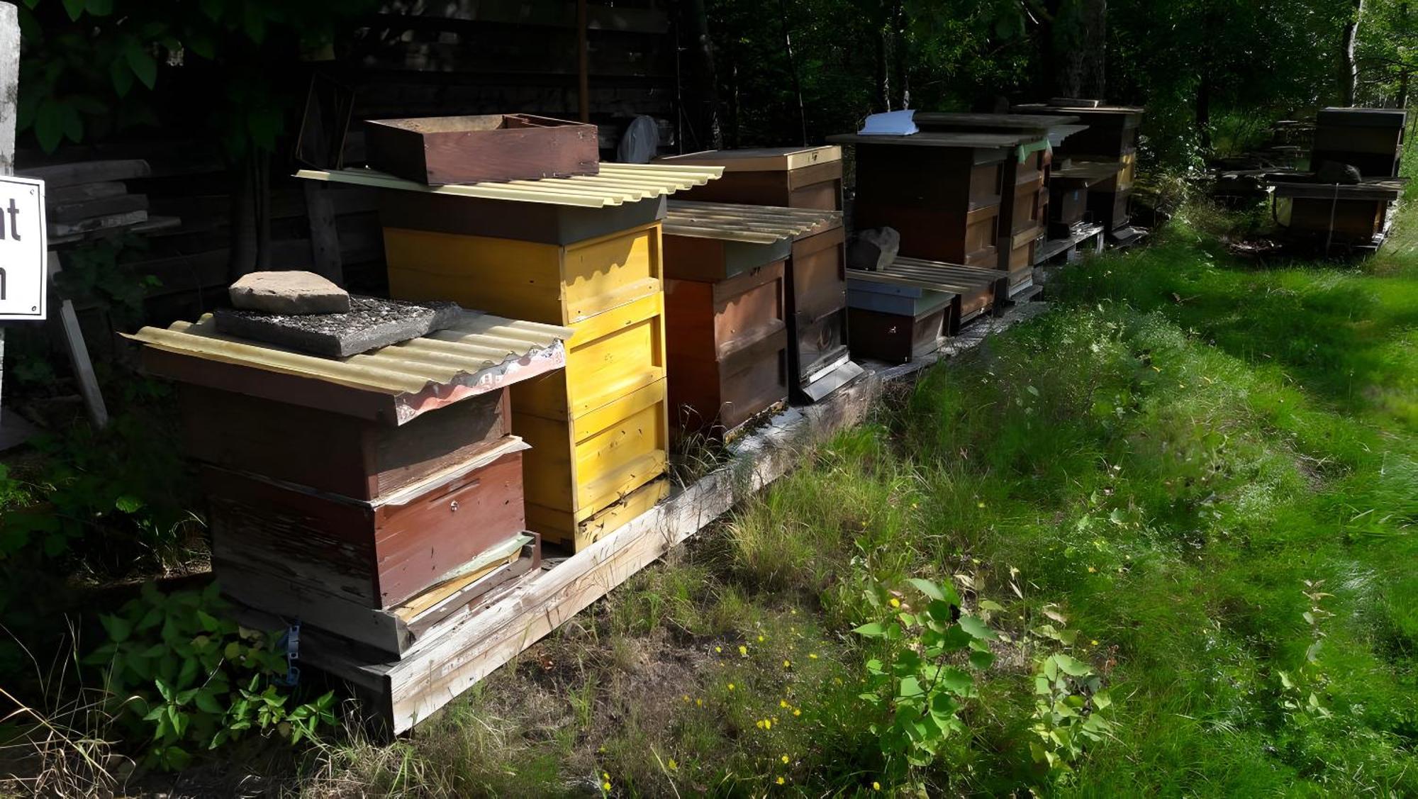 Schömberg Haus Zur Bienenweide 아파트 외부 사진