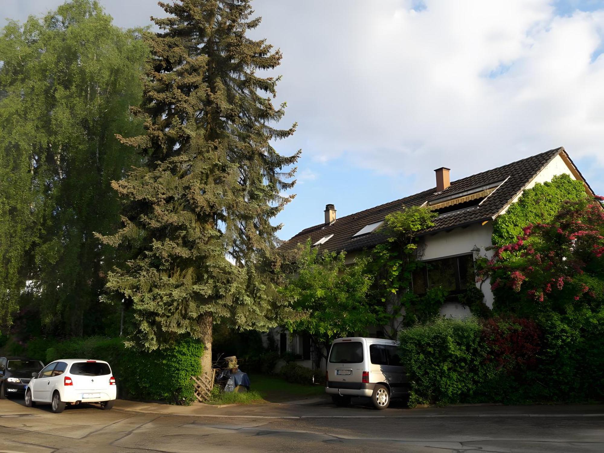 Schömberg Haus Zur Bienenweide 아파트 외부 사진